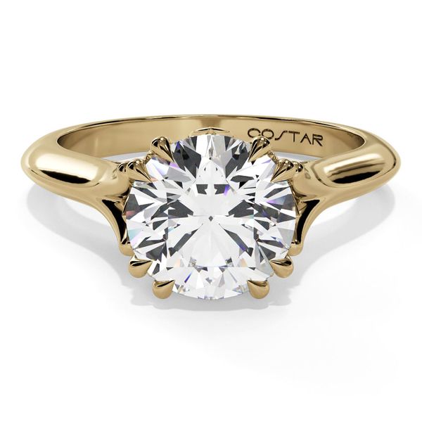 14K Yellow Gold Double Prong Petal Head Engagement Ring with Diamond Bridge Shannon Jewelers Spring, TX