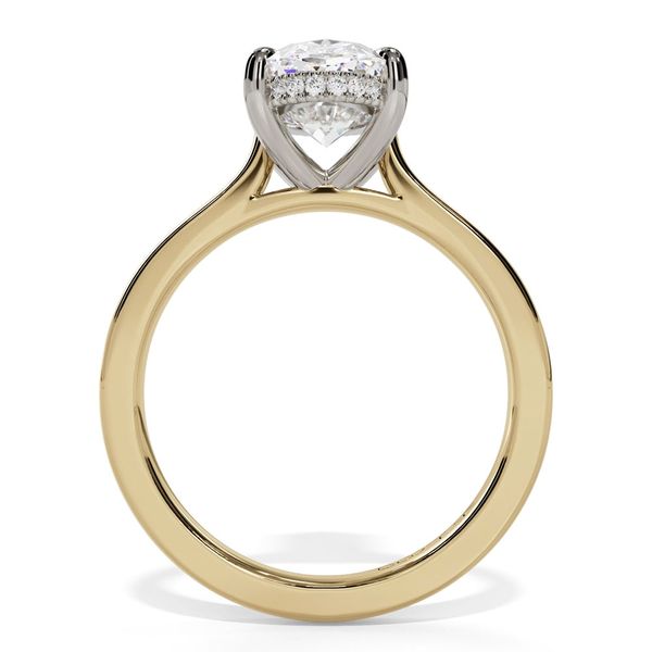 14K White & Yellow Gold Hidden Halo Oval Engagement Ring with 2.00mm Shank Image 2 Shannon Jewelers Spring, TX