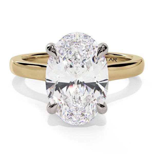 14K White & Yellow Gold Hidden Halo Oval Engagement Ring with 2.00mm Shank Shannon Jewelers Spring, TX