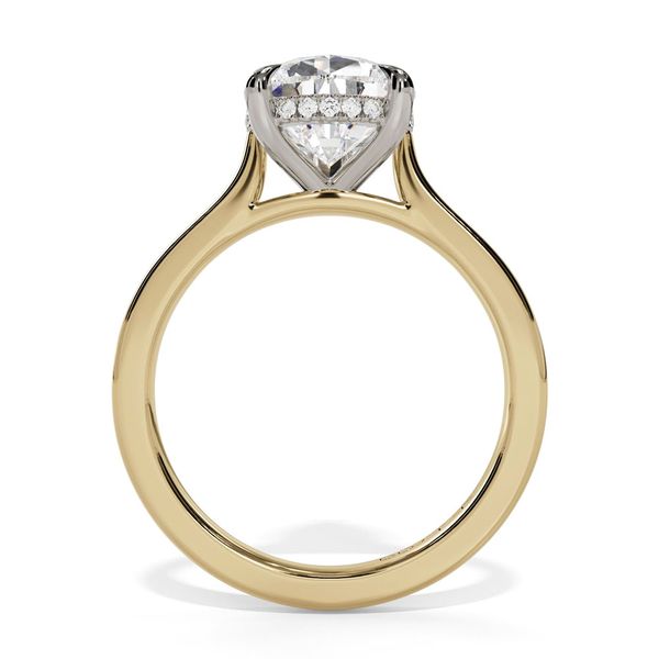 14K White & Yellow Gold Hidden Halo Cathedral Engagement Ring with 2.00mm Shank Image 2 Shannon Jewelers Spring, TX