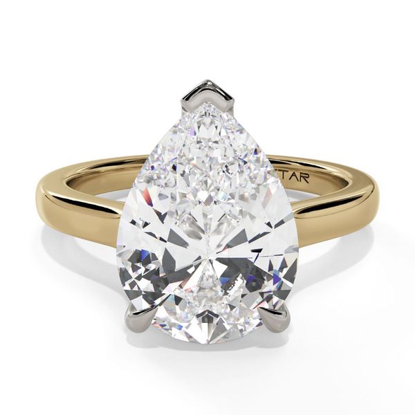 14K White & Yellow Gold Hidden Halo Cathedral Engagement Ring with 2.00mm Shank Shannon Jewelers Spring, TX