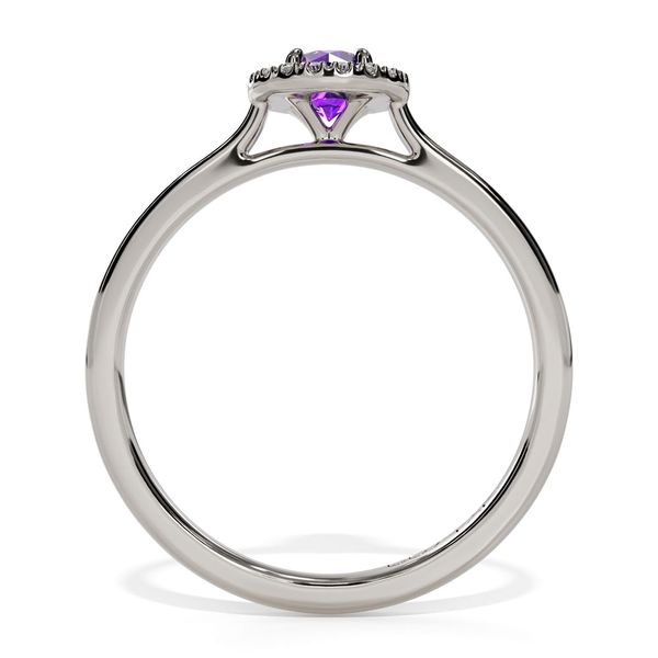 10k White Gold Amethyst and Diamond Birthstone Fashion Ring Image 2 Shannon Jewelers Spring, TX