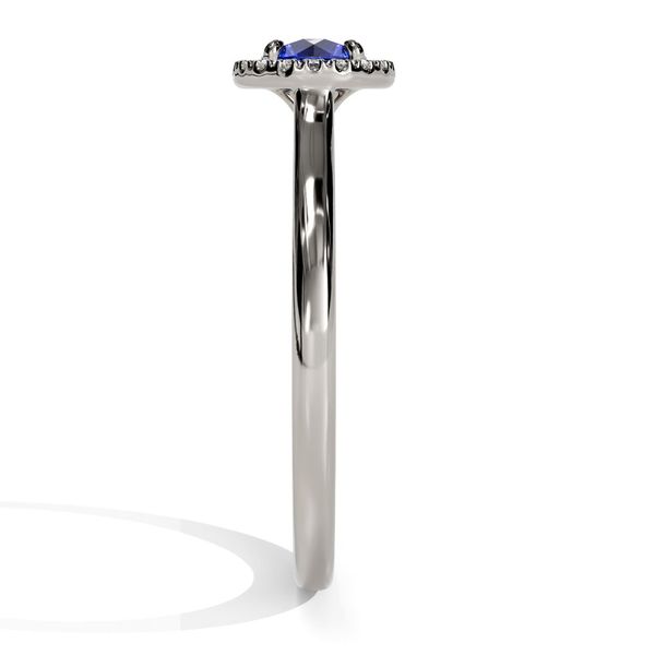 10k White Gold Blue Sapphire and Diamond Birthstone Fashion Ring Image 4 Shannon Jewelers Spring, TX