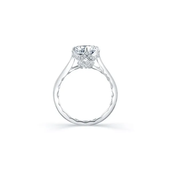 Engagement Ring Shelle Jewelers, Inc Northbrook, IL