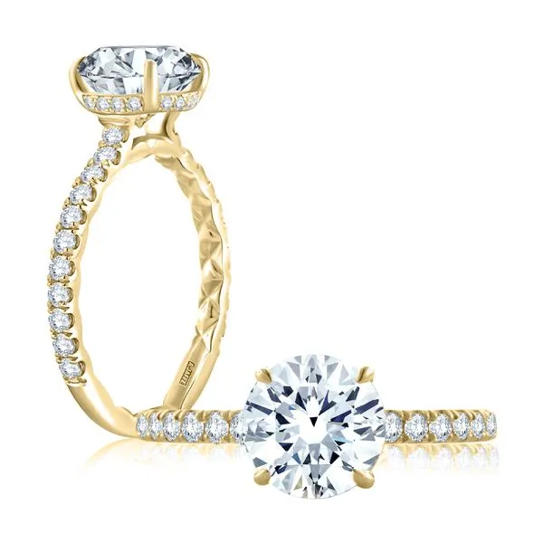 Engagement Ring Shelle Jewelers, Inc Northbrook, IL