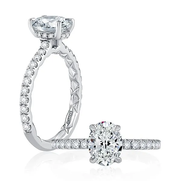 Engagement Ring Shelle Jewelers, Inc Northbrook, IL