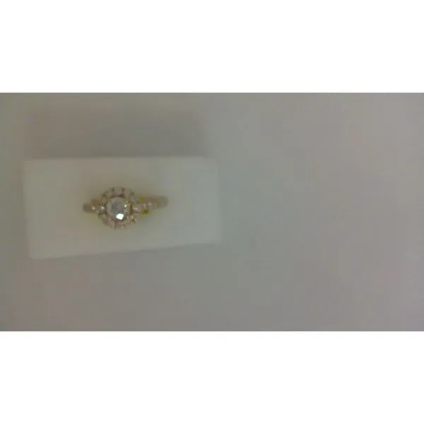Engagement Ring Shelle Jewelers, Inc Northbrook, IL