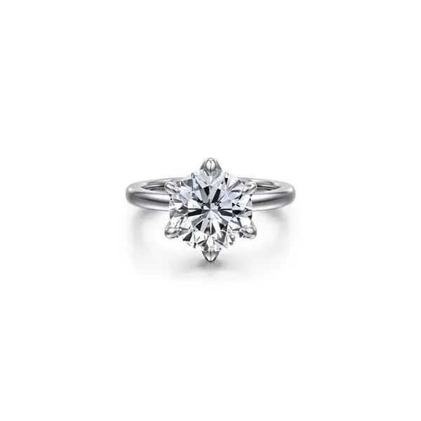 Engagement Ring Shelle Jewelers, Inc Northbrook, IL