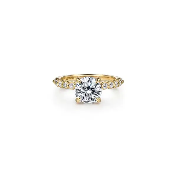 Engagement Ring Shelle Jewelers, Inc Northbrook, IL