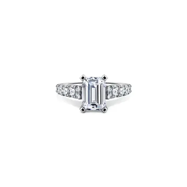 Engagement Ring Shelle Jewelers, Inc Northbrook, IL