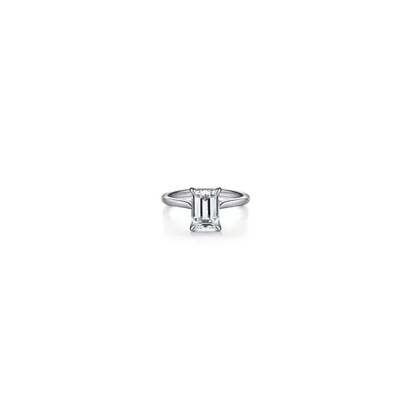 Engagement Ring Shelle Jewelers, Inc Northbrook, IL