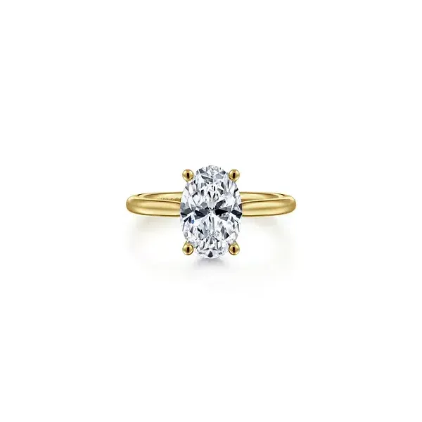 Engagement Ring Shelle Jewelers, Inc Northbrook, IL