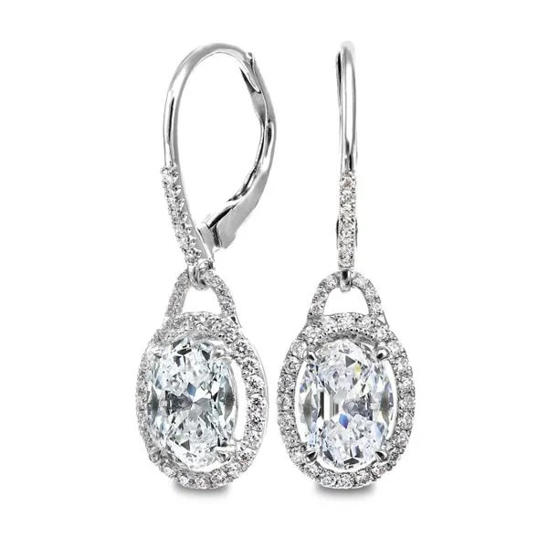 Dialog Solutions Inc. 18K White Gold Diamond Earrings Shelle Jewelers, Inc Northbrook, IL