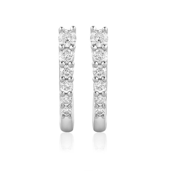 PMG 14K White Gold Diamond Earrings Shelle Jewelers, Inc Northbrook, IL