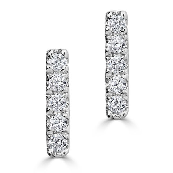 JGG 14K White Gold Diamond Earrings Shelle Jewelers, Inc Northbrook, IL