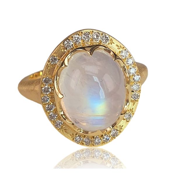 MDG 14K Yellow Gold Colored Stone Fashion Ring Shelle Jewelers, Inc Northbrook, IL