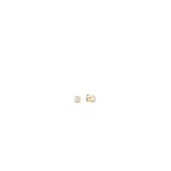 Diamond Earrings Shelle Jewelers, Inc Northbrook, IL
