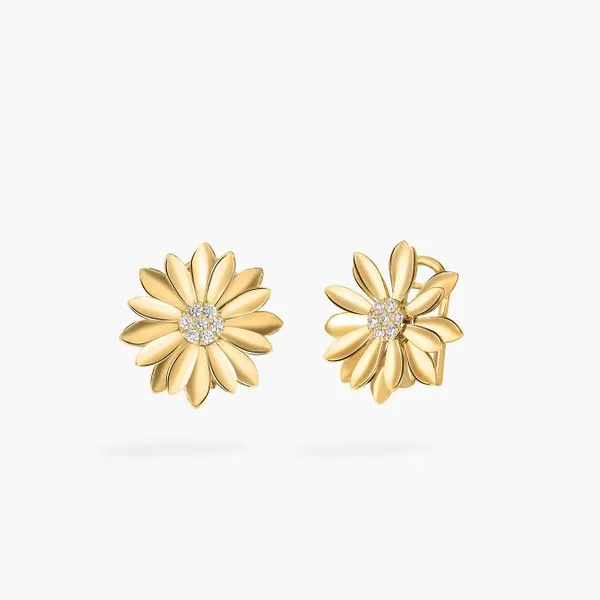 Diamond Earrings Shelle Jewelers, Inc Northbrook, IL