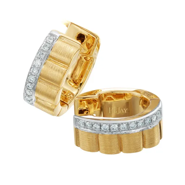 Diamond Earrings Shelle Jewelers, Inc Northbrook, IL