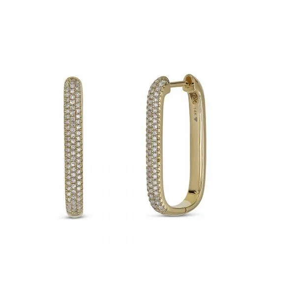 Diamond Earrings Shelle Jewelers, Inc Northbrook, IL