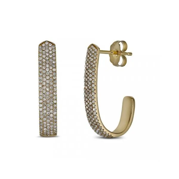 Diamond Earrings Shelle Jewelers, Inc Northbrook, IL
