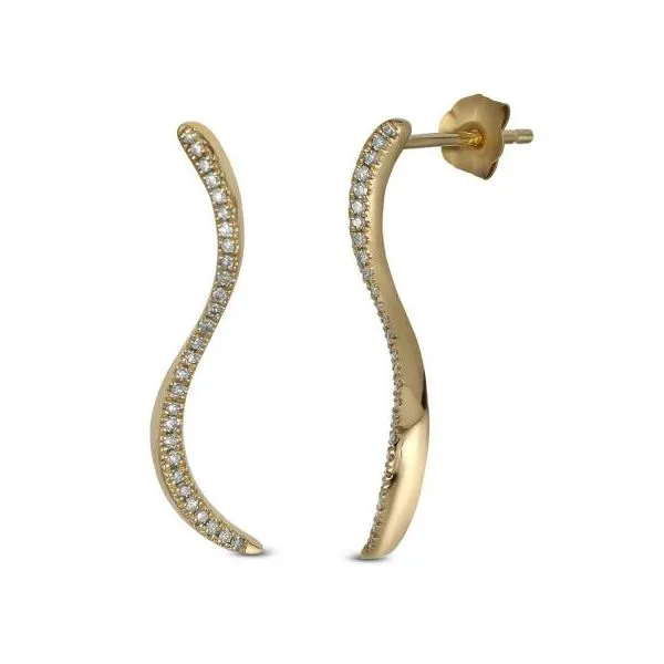Diamond Earrings Shelle Jewelers, Inc Northbrook, IL