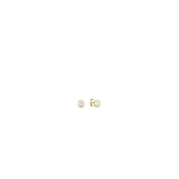 Diamond Earrings Shelle Jewelers, Inc Northbrook, IL