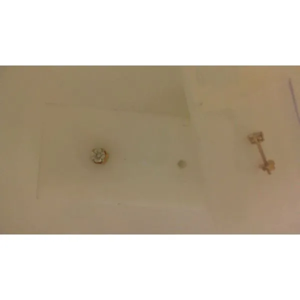 Diamond Stud Earrings Shelle Jewelers, Inc Northbrook, IL