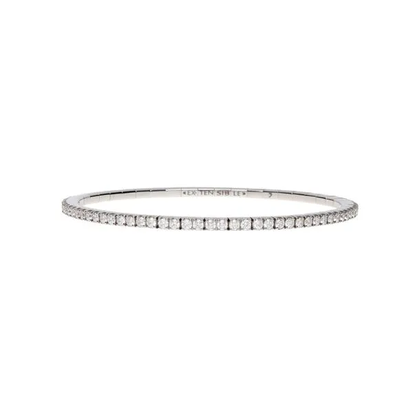 Diamond Bracelet Shelle Jewelers, Inc Northbrook, IL