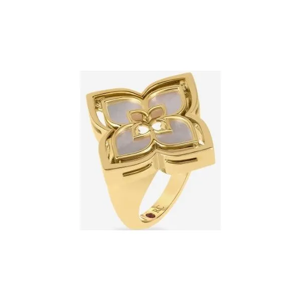 Colored Stone Fashion Ring Shelle Jewelers, Inc Northbrook, IL