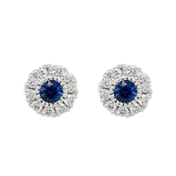 Colored Stone Earrings Shelle Jewelers, Inc Northbrook, IL