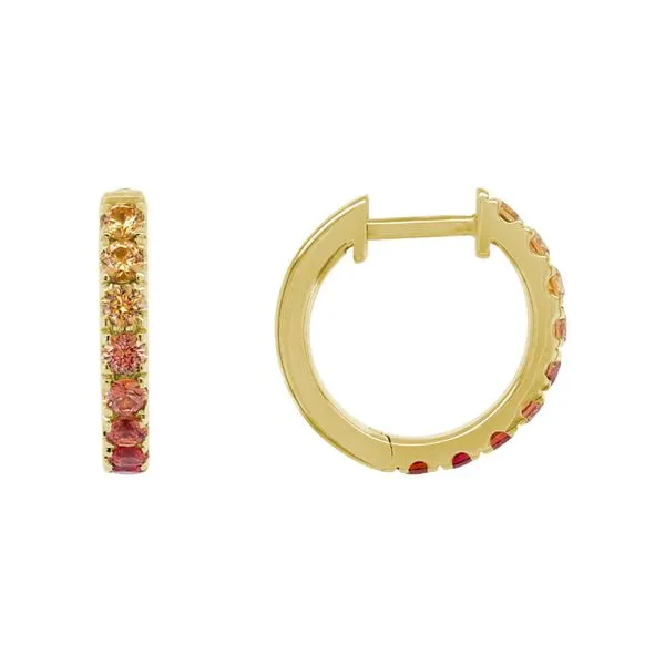 Colored Stone Earrings Shelle Jewelers, Inc Northbrook, IL