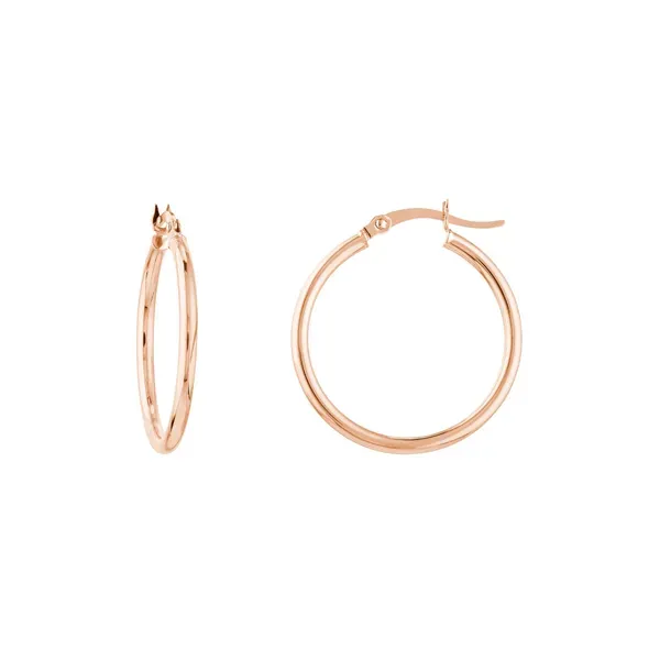 Gold Earrings Shelle Jewelers, Inc Northbrook, IL