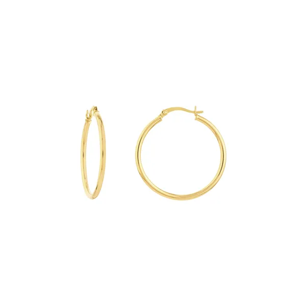 Gold Earrings Shelle Jewelers, Inc Northbrook, IL