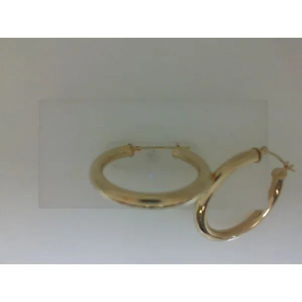 Gold Earrings Shelle Jewelers, Inc Northbrook, IL