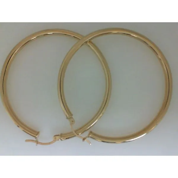 Gold Earrings Shelle Jewelers, Inc Northbrook, IL