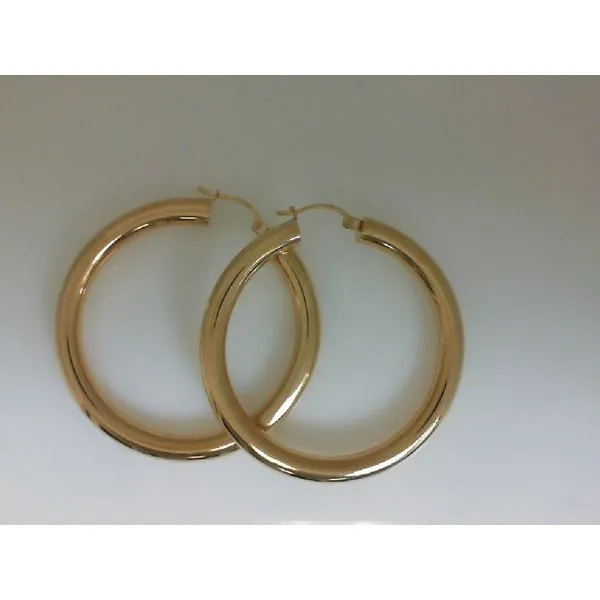 Gold Earrings Shelle Jewelers, Inc Northbrook, IL