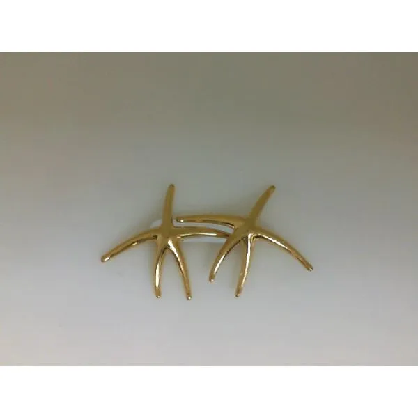 Gold Earrings Shelle Jewelers, Inc Northbrook, IL