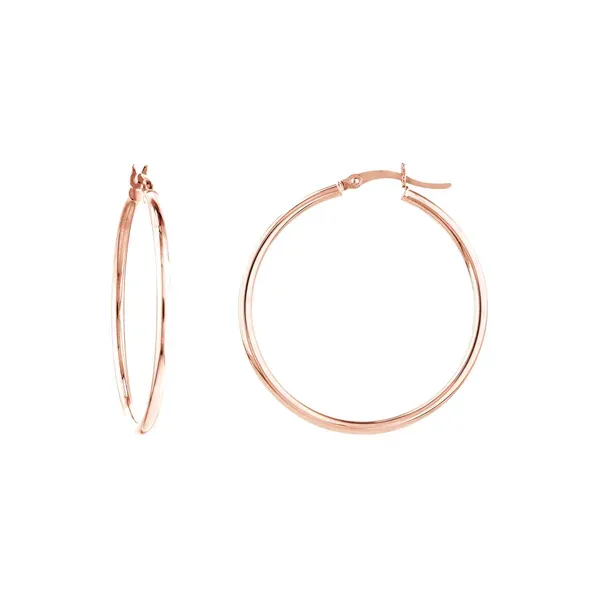 Gold Earrings Shelle Jewelers, Inc Northbrook, IL