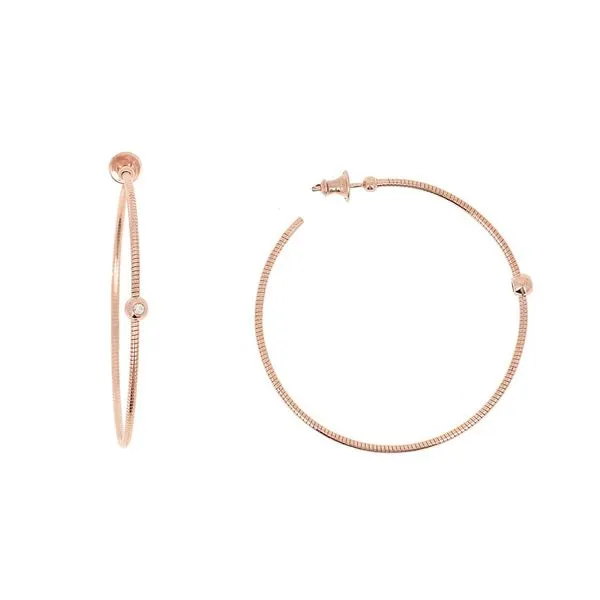 Earrings Shelle Jewelers, Inc Northbrook, IL