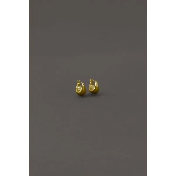 Silver Earrings Shelle Jewelers, Inc Northbrook, IL