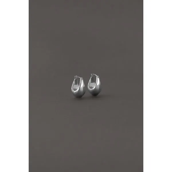 Silver Earrings Shelle Jewelers, Inc Northbrook, IL
