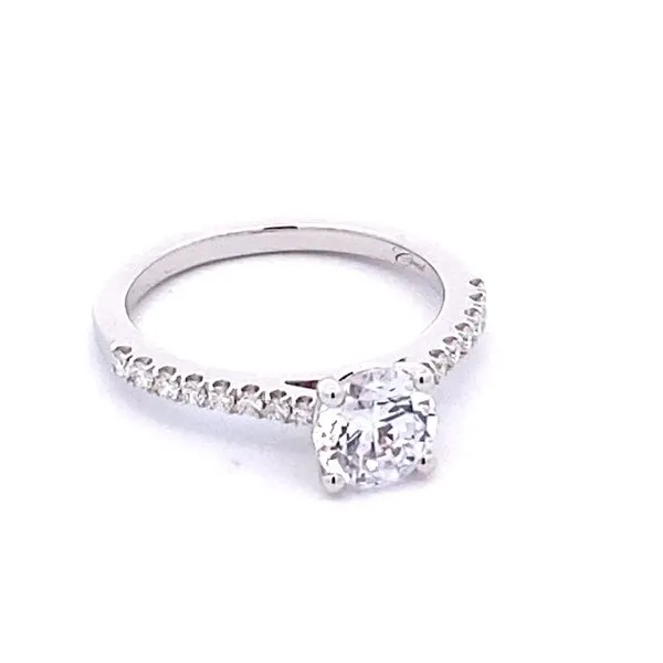 Semi-Mount Ring