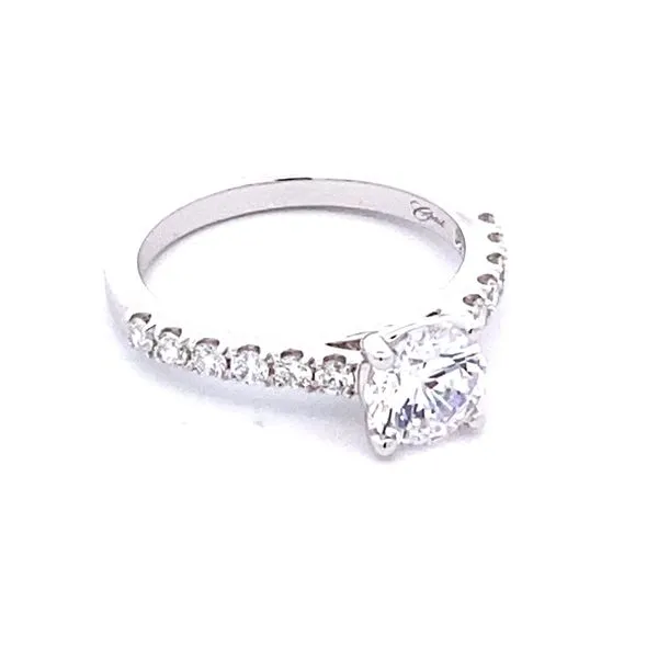 Semi-Mount Ring