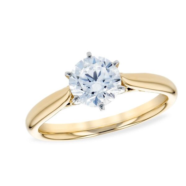 14K Yellow Gold Diamond Semi-Mount Nick T. Arnold Jewelers Owensboro, KY