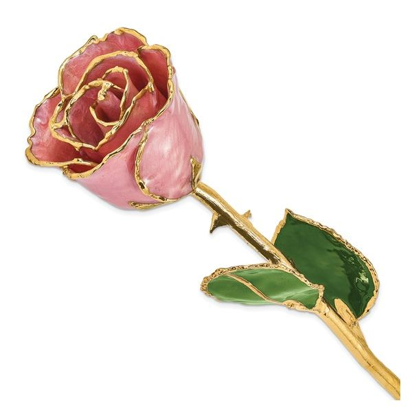 Gold Dipped Rose Nick T. Arnold Jewelers Owensboro, KY