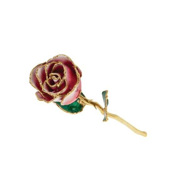 24K Gold Trimmed Rose Nick T. Arnold Jewelers Owensboro, KY