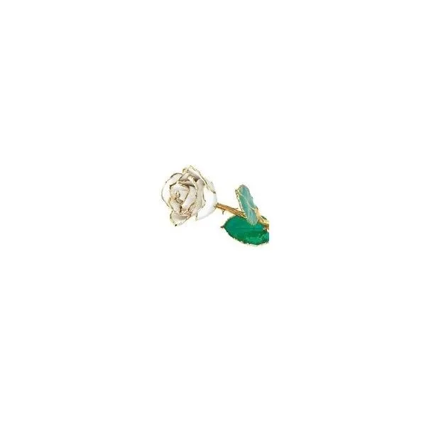 Jewelry Nick T. Arnold Jewelers Owensboro, KY