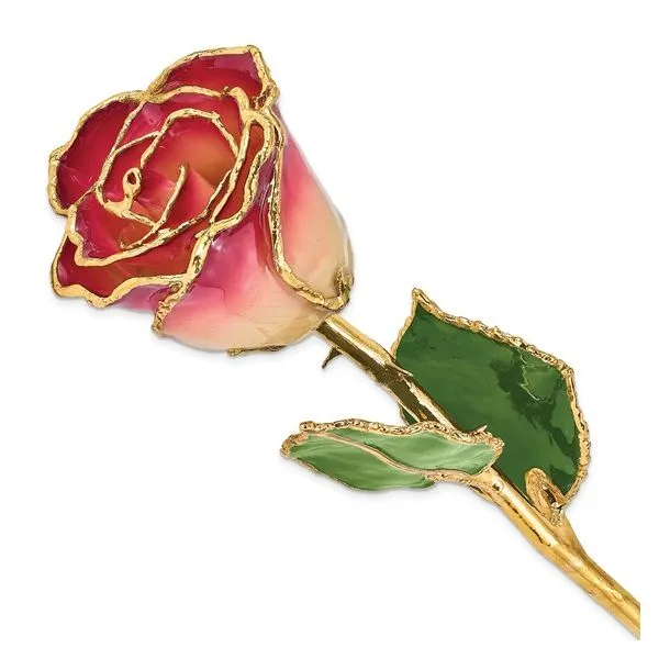 24K Gold Dipped Rose Nick T. Arnold Jewelers Owensboro, KY