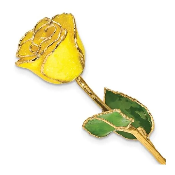 Jewelry Nick T. Arnold Jewelers Owensboro, KY